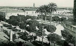 RELIZANE 604